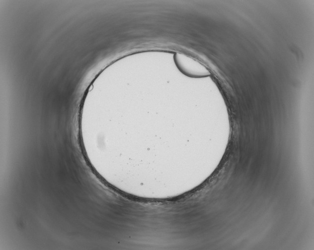 X0000112031512200909141046