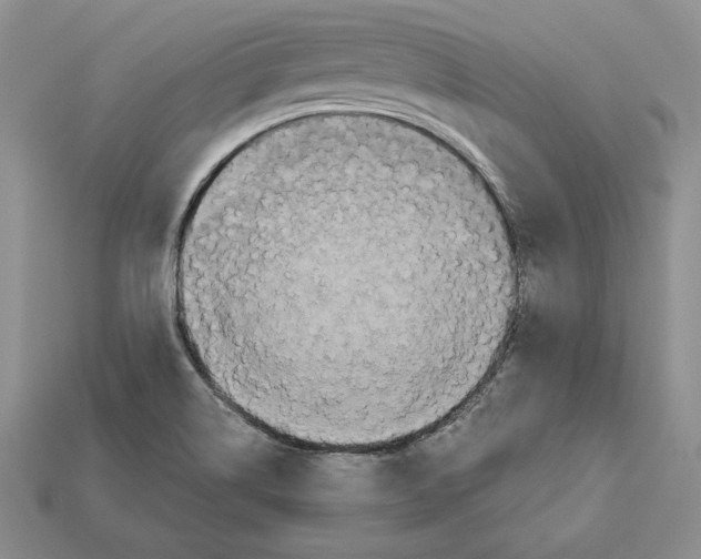 X0000112031514200909141046