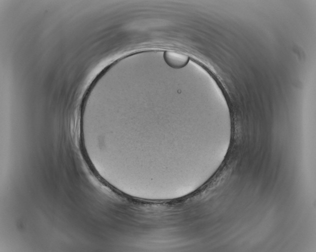 X0000112031515200909141046
