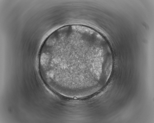 X0000112031517200909141046