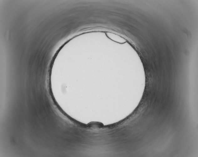 X0000112031518200909141046