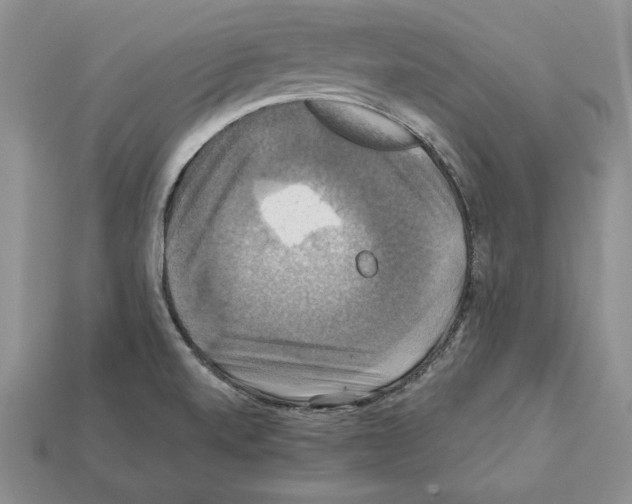 X0000112031520200909141046