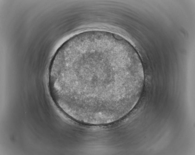 X0000112031523200909141046
