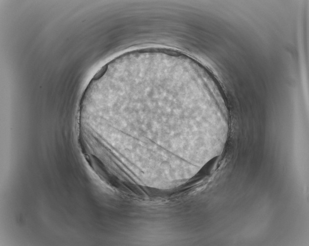 X0000112031524200909141046
