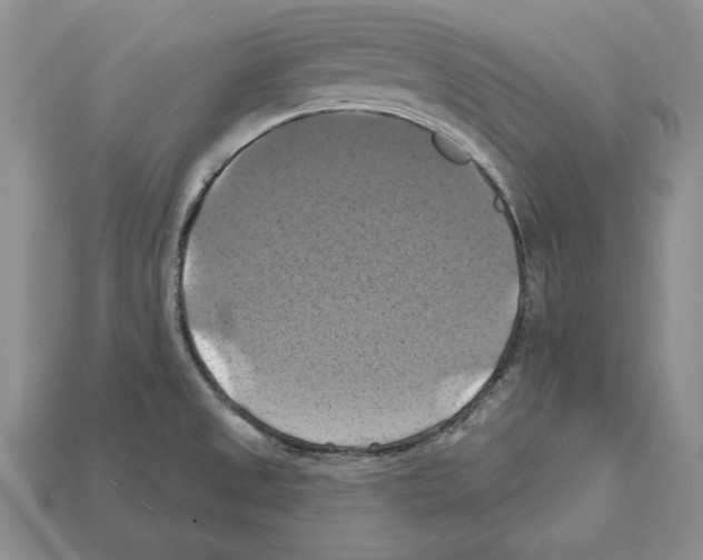 X0000112031525200909141046