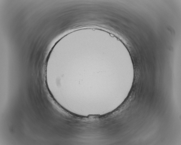 X0000112031526200909141046