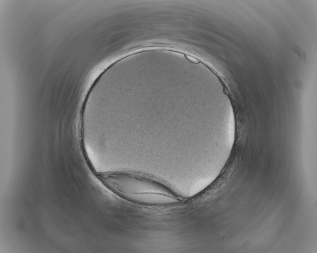 X0000112031527200909141046