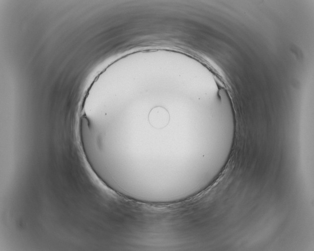 X0000112031528200909141046