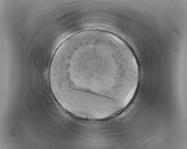 X0000112031529200909141046