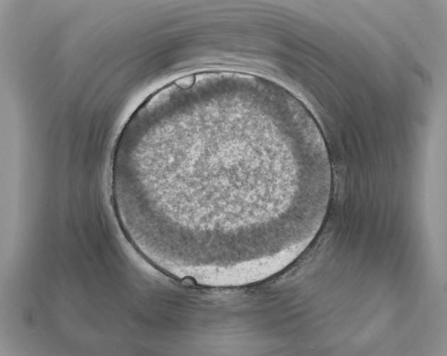 X0000112031531200909141046