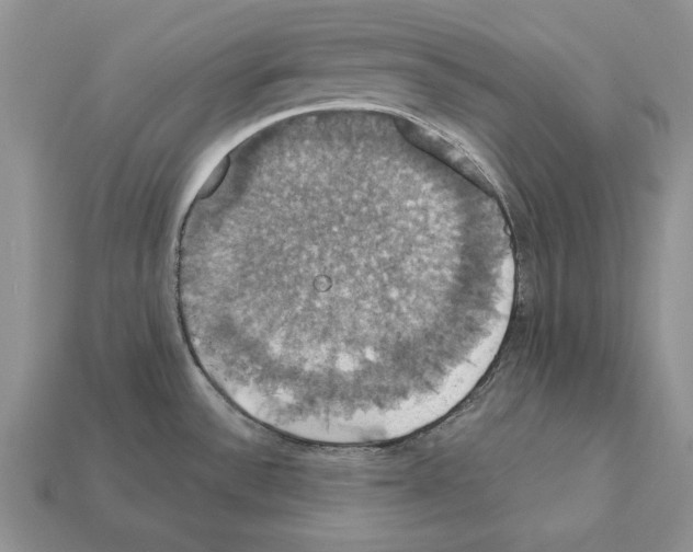 X0000112031532200909141046