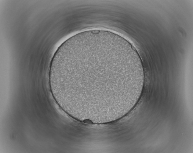 X0000112031534200909141046