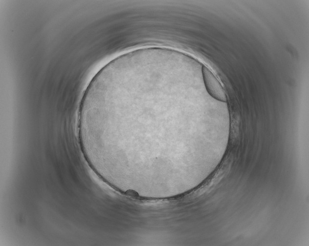 X0000112031535200909141046
