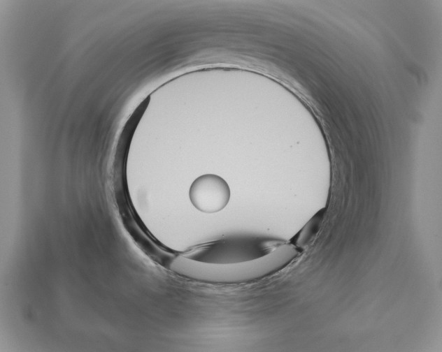 X0000112031536200909141046