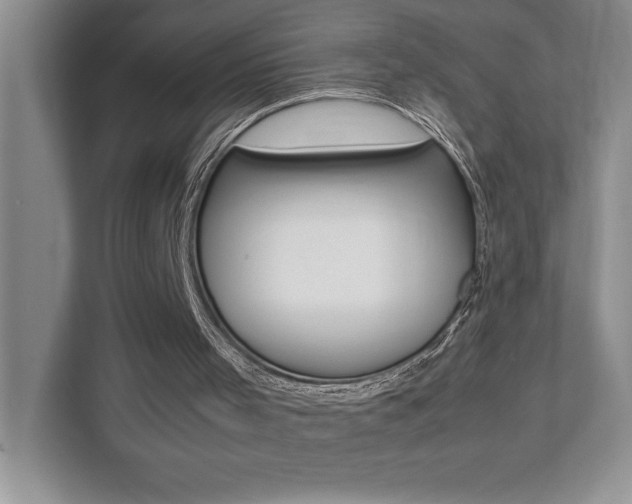 X0000112040001200908031051