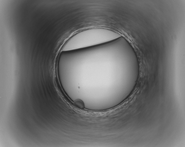 X0000112040002200908031051