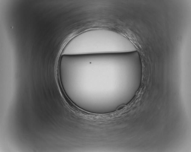 X0000112040003200908031051