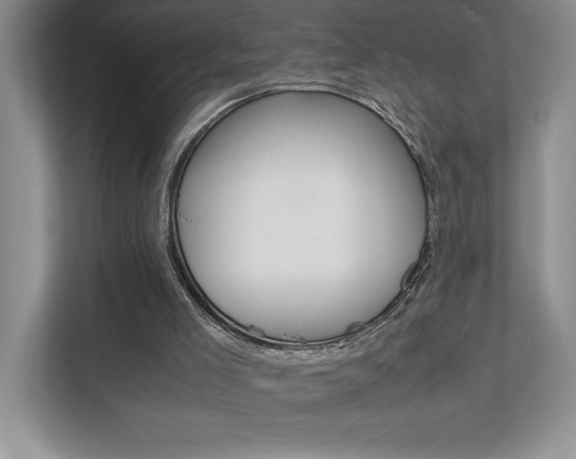 X0000112040005200908031051