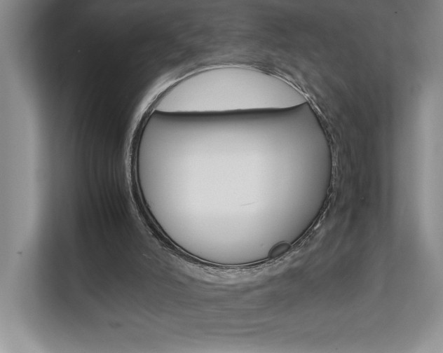 X0000112040006200908031051