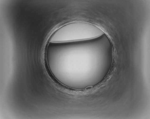 X0000112040007200908031051