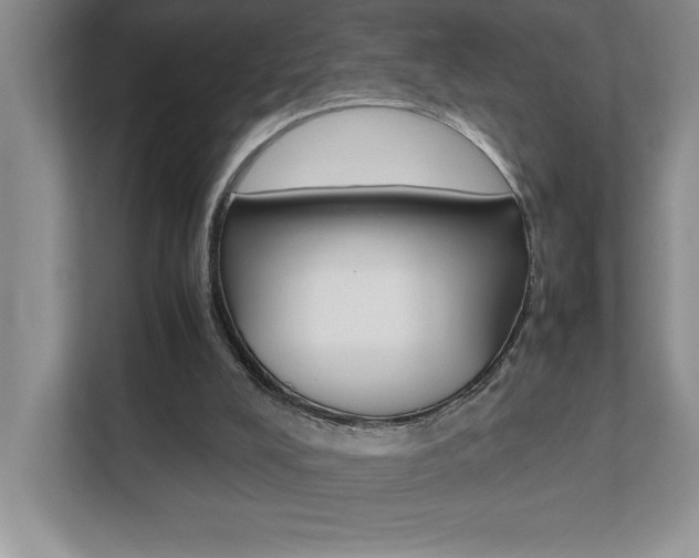 X0000112040008200908031051