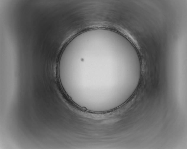 X0000112040010200908031051