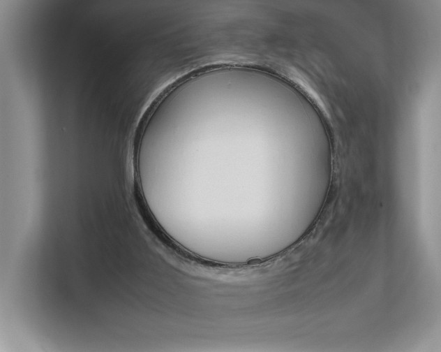 X0000112040011200908031051
