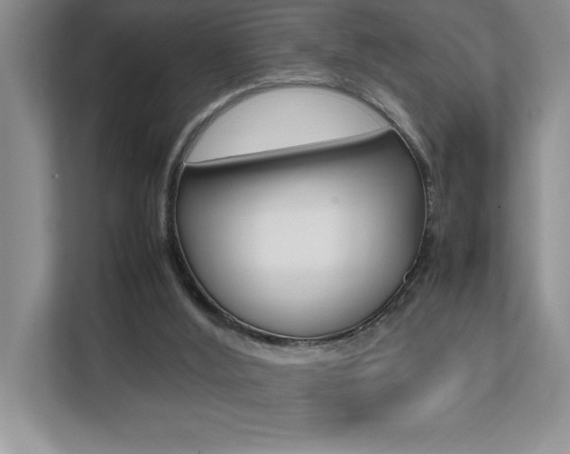 X0000112040012200908031051