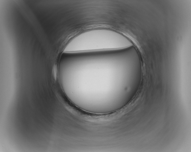 X0000112040013200908031051