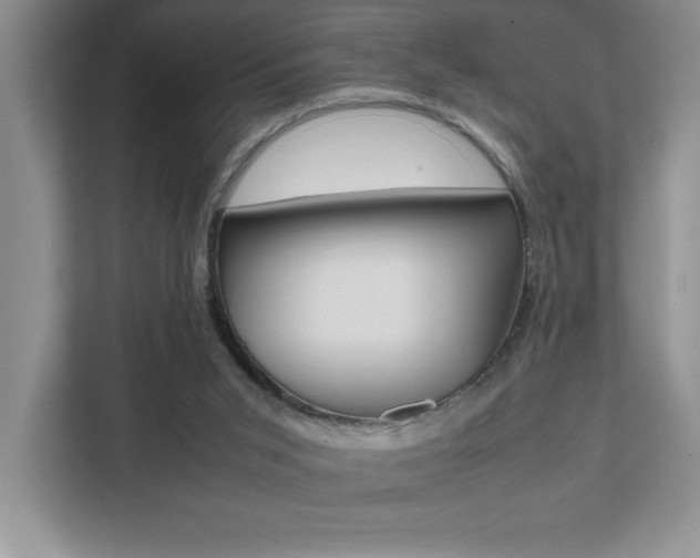 X0000112040015200908031051
