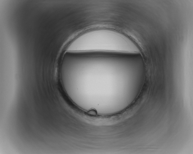 X0000112040016200908031051