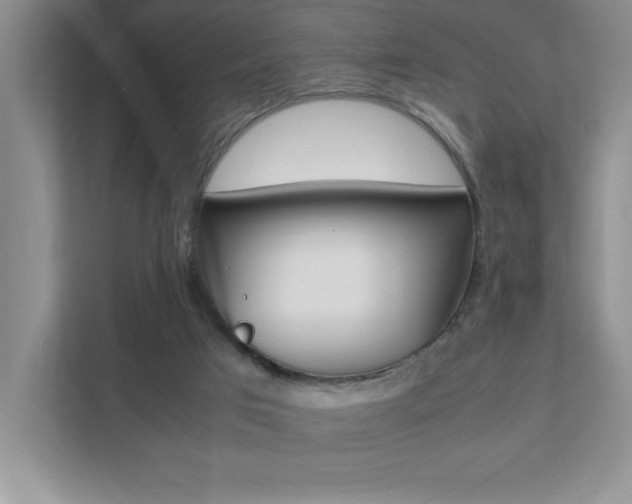 X0000112040017200908031051