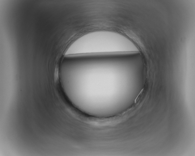 X0000112040021200908031051