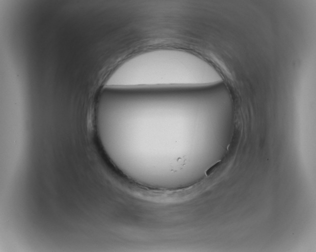 X0000112040023200908031051