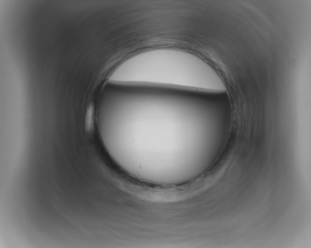X0000112040024200908031051