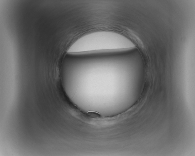 X0000112040025200908031051