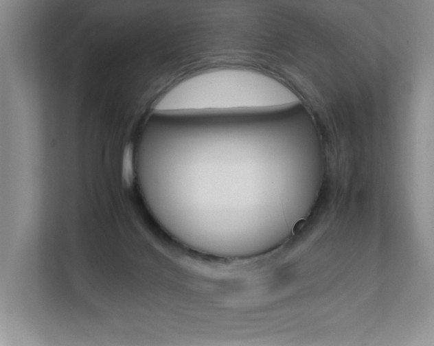 X0000112040028200908031051