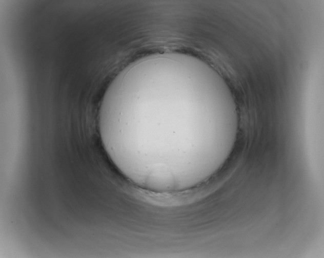 X0000112040030200908031051