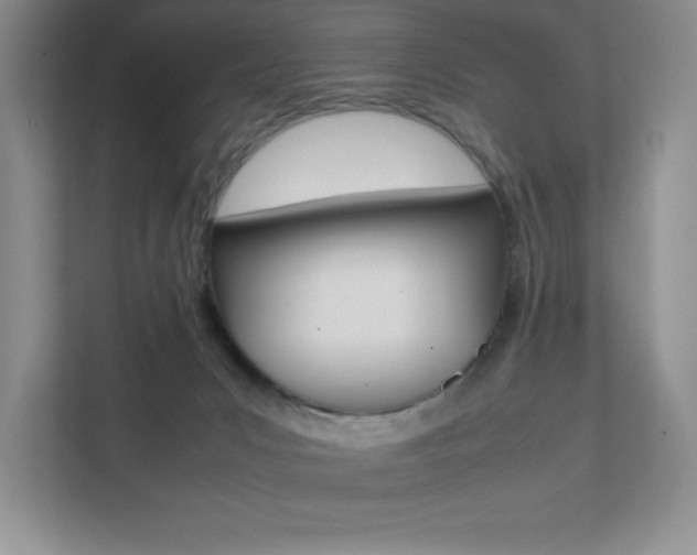 X0000112040031200908031051
