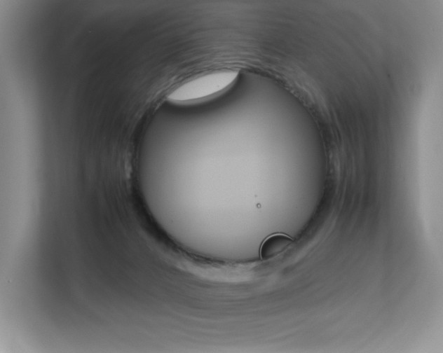 X0000112040032200908031051