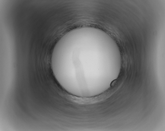 X0000112040034200908031051