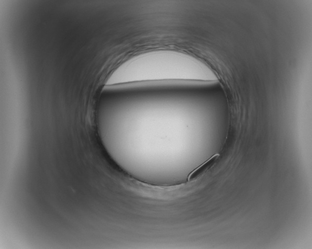 X0000112040035200908031051