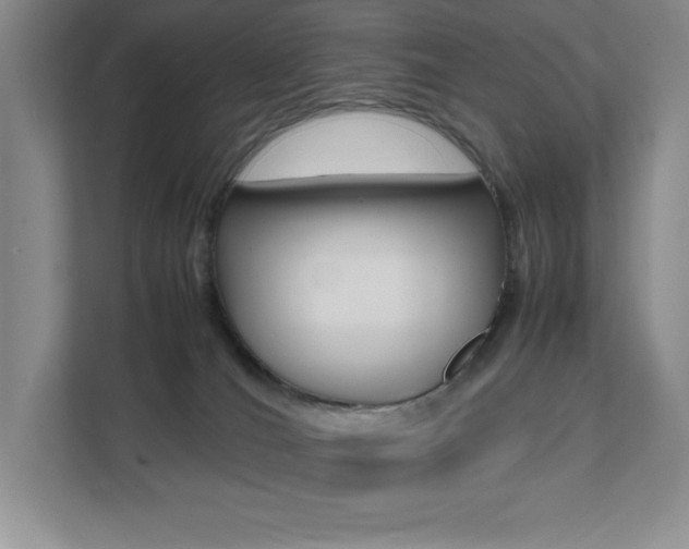 X0000112040036200908031051