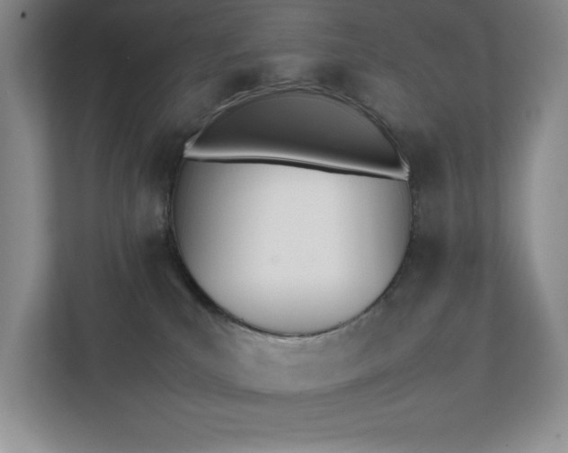X0000112040039200908031051