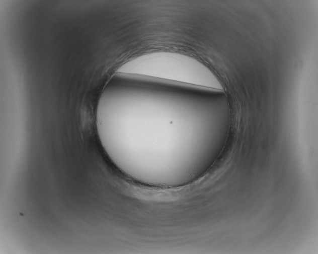 X0000112040040200908031051