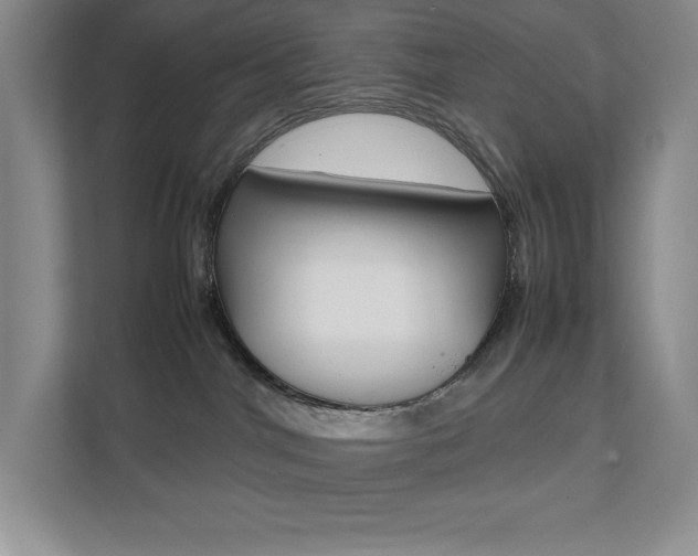 X0000112040044200908031051