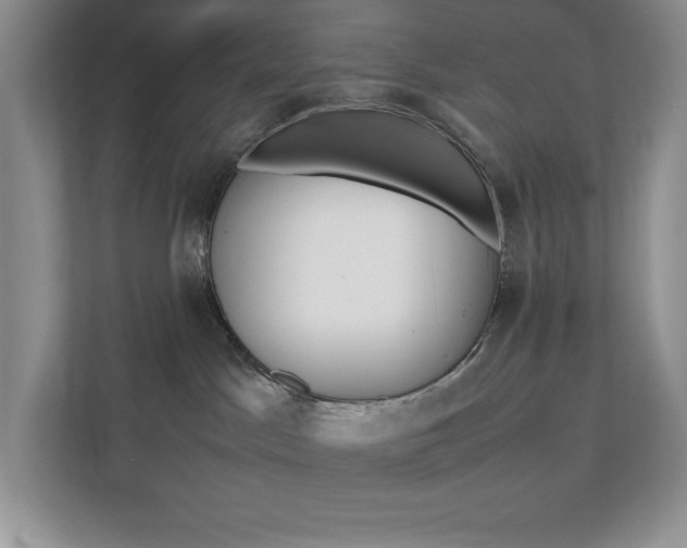 X0000112040045200908031051