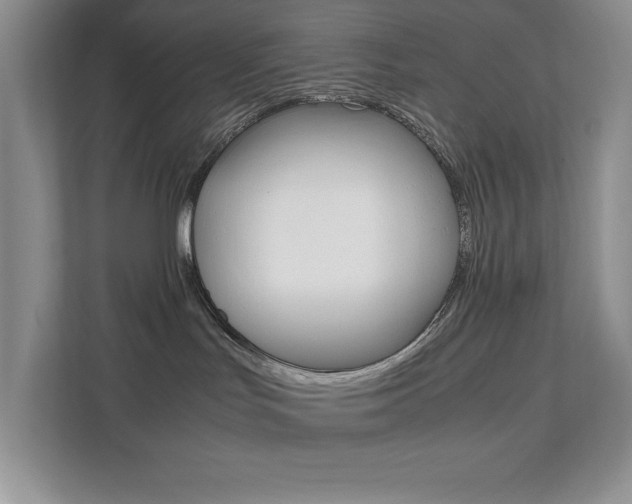 X0000112040047200908031051