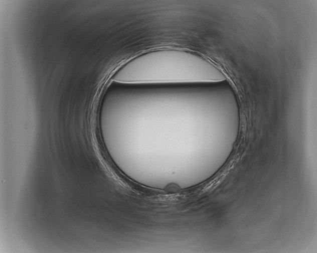 X0000112040049200908031050