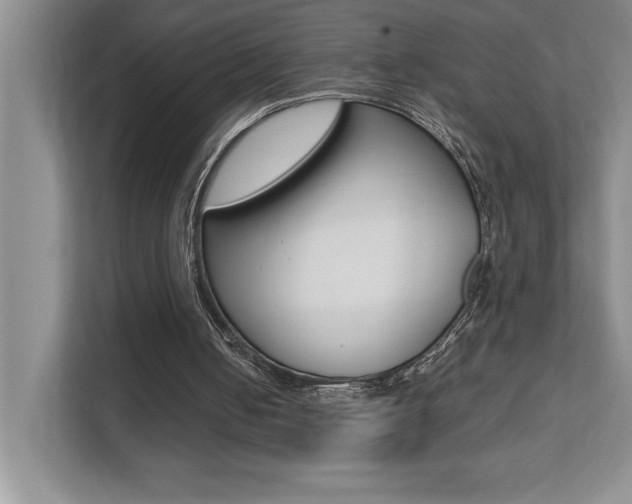 X0000112040050200908031050